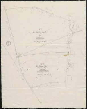Nr. 2 et 3. Schwetzinger Forst (Rückseite)