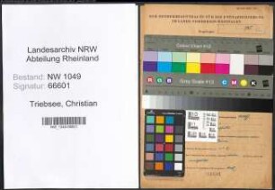 Entnazifizierung Christian Triebsee , geb. 18.11.1888 ()