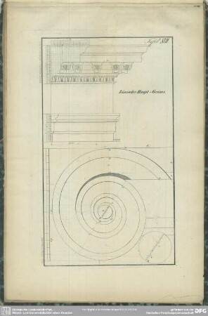 Tafel XVII. Römisches Haupt-Gesims