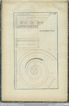 Tafel XVII. Römisches Haupt-Gesims