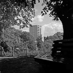 Kirchberg: rechts Baum mit umlaufender Bank auf Sockel: dahinter Zaun, Büsche und Bäume: hinten Mitte Hochhaus "Liebe"