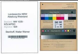 Entnazifizierung Walter Werner Steinhoff , geb. 14.10.1914 (Ingenieur)