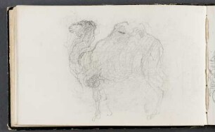 Skizze eines Kamels