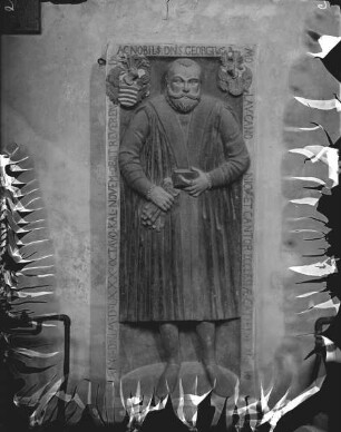 Kanonikus Georg von Molau