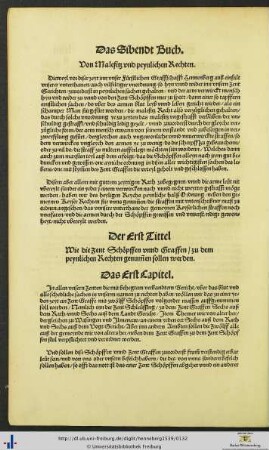 Das Sibendt Buch