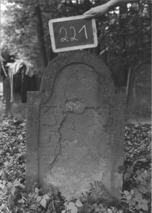 Grabstein 221 (Index: 99894729) Material: Sandstein Zustand: größtenteils abgeblättert Maße HxBxT: 90x56x8 cm Beschreibung: Stele mit eingezogenem Rundbogenabschluss: Grabstein 221