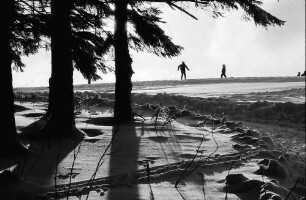 Breitnau: Skischule am Waldrand