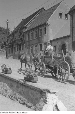 Pferdefuhrwerk