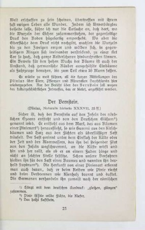 Der Bernstein