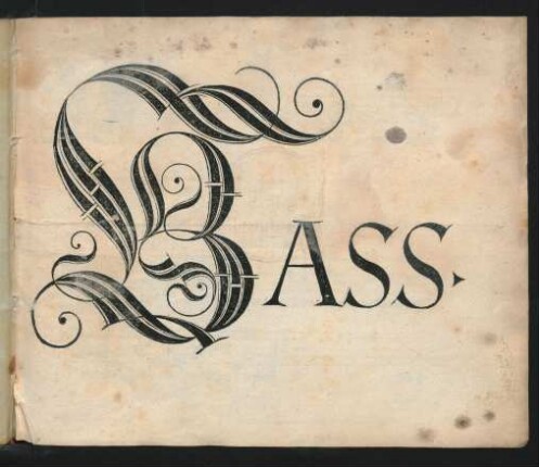 Bass.