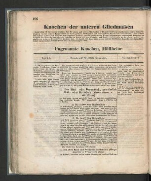 Knochen der unteren Gliedmassen