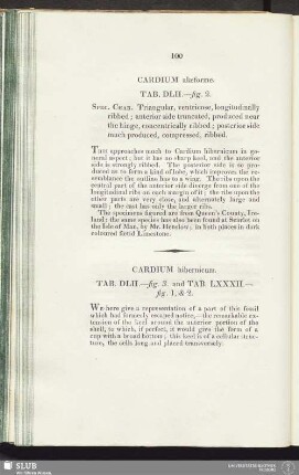 Cardium hibernicum. Tab. DLII.—fig. 3. and Tab. LXXXII.— fig. 1, & 2