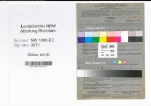 Entnazifizierung Ernst Giese, geb. 02.02.1897 (Berufsberater)