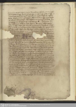 Bl. 226 - 239´