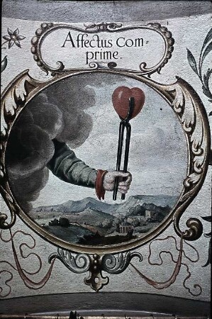 Affectus comprime (Bezwinge deine Leidenschaften)