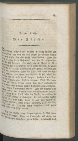 Vierte Klasse. Die Fische.