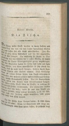 Vierte Klasse. Die Fische.
