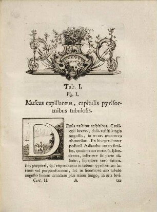 Plantarum minus cognitarum centuria ... : complectens plantas circa Byzantium & in Oriente observatas. 2