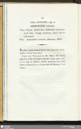 Tab. CCCCXXI. - fig. 3. Ammonites cristatus