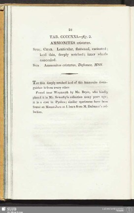 Tab. CCCCXXI. - fig. 3. Ammonites cristatus