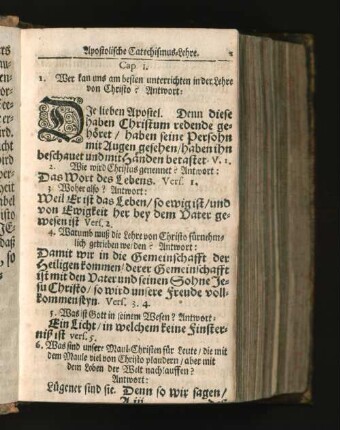 [Apostolische Catechismus-Lehre.]