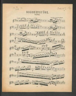 Concertstück. Flöte.