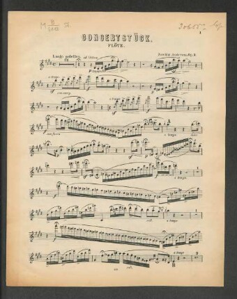 Concertstück. Flöte.