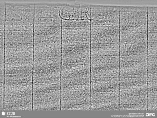 Wasserzeichen S.3_4