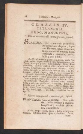 Classis IV. Tetrandria. Ordo, Monogynia.