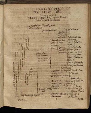 Disputatio XVII. De Lege Dei.