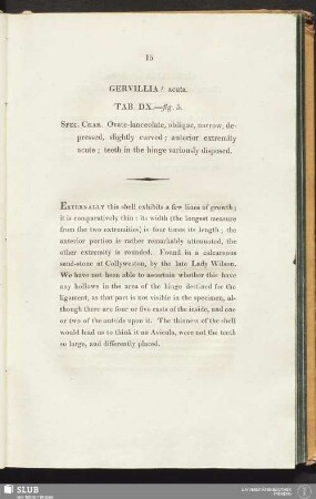Gervillia ? acuta. Tab. DX.—fig. 5
