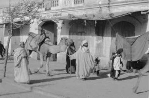 Reisefotos Marokko. Straßenbild mit Kamelführer (wahrscheinlich in Casablanca)