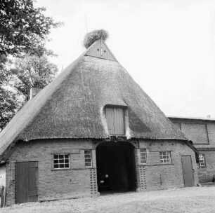 Bauernhaus an Dorfstraße: Blick auf Giebelwand mit Scheunentor: Storchennest auf Dachfirst: links Bäume