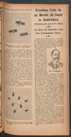 El frío y las alas de los insectos