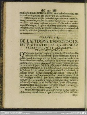 Caput VI. De Lapidibus Emmorphois, Seu Figuratis, Ex Quorundam Vegetabilium Et Animalium Transmutatione