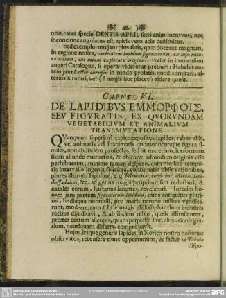 Caput VI. De Lapidibus Emmorphois, Seu Figuratis, Ex Quorundam Vegetabilium Et Animalium Transmutatione