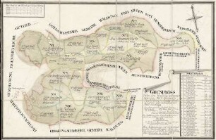 Grund-Riss ueber den Hochensachsemer gemeinen Wald, Oberamts Heidelberg in dasige Forstmeisterei und Schriesheimer Forst einschlägig