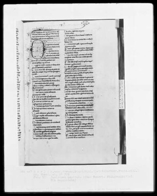 Heisterbacher Bibel — Initiale D(e cognitione) mit anschließender Ranke, Folio 57recto