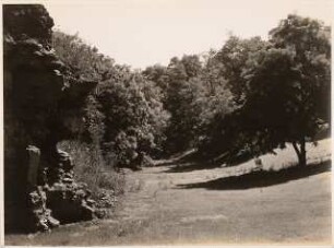 Reichsgartenschau 1939 auf dem Killesberg, Stuttgart: Rosental (?)