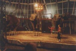 Gastspiele, Oldenburg - Hannover - Kassel, 1936-2001
