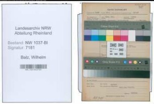 Entnazifizierung Wilhelm Balz , geb. 00.00.0000 (Angestellter)