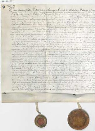 Vergleich des Herzogs Adolph von Holstein-Gottorf mit den Städten Lübeck und Hamburg wegen eines Ortes, die Randesweide genannt, und eines daran gemachten neuen Deiches auch wegen anderer Streitigkeiten zwischen dem holsteinischen Amte Reinbeck und Trittau und dem Amtmann in Bergedorf