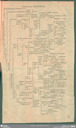 Tabella Synoptica