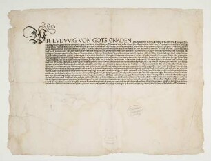 Mandat Ludwig V., Heidelberg 8.2.1519