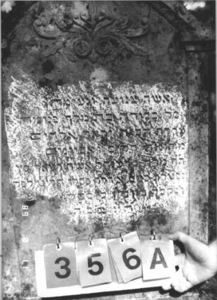 Grabstein 356 (Index: 99799716) Material: Sandstein Zustand: verwittert Maße HxBxT: 116x62x12 cm Beschreibung: Stele, geschwungener Bogenabschluß, eingetieftes Schriftfeld gerahmt von zwei Halbpfeilern, Sockel Symbolik: florale Voluten: Grabstein 356A