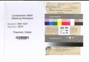 Entnazifizierung Walter Thaemert , geb. 09.11.1889 (Lehrer)