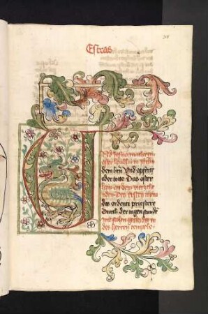 U-Initiale mit Drache