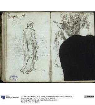 Stehende männliche Figurr von hinten, Männerkopf / Baumstudie