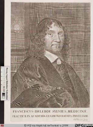 Bildnis Franciscus Sylvius (eig. Frans de le Boë)