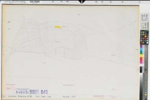 Zeppenfeld (Neunkirchen), Wiederstein (Neunkirchen), Zusammenlegung Zeppenfeld-Wiederstein, Bl. 7 Zuteilungskarte Wiederstein Flur 2